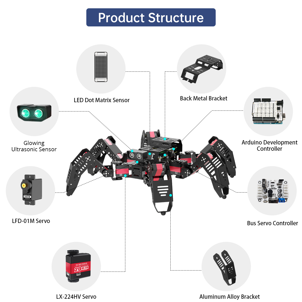Hiwonder スパイダーボット プログラム可能なリモコン - Robot Kit のレビューと価格